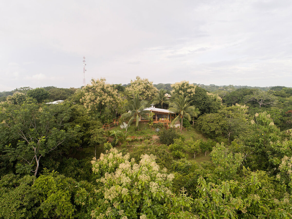 Taru Cabins — photo 12